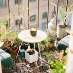 Piante aromatiche da balcone