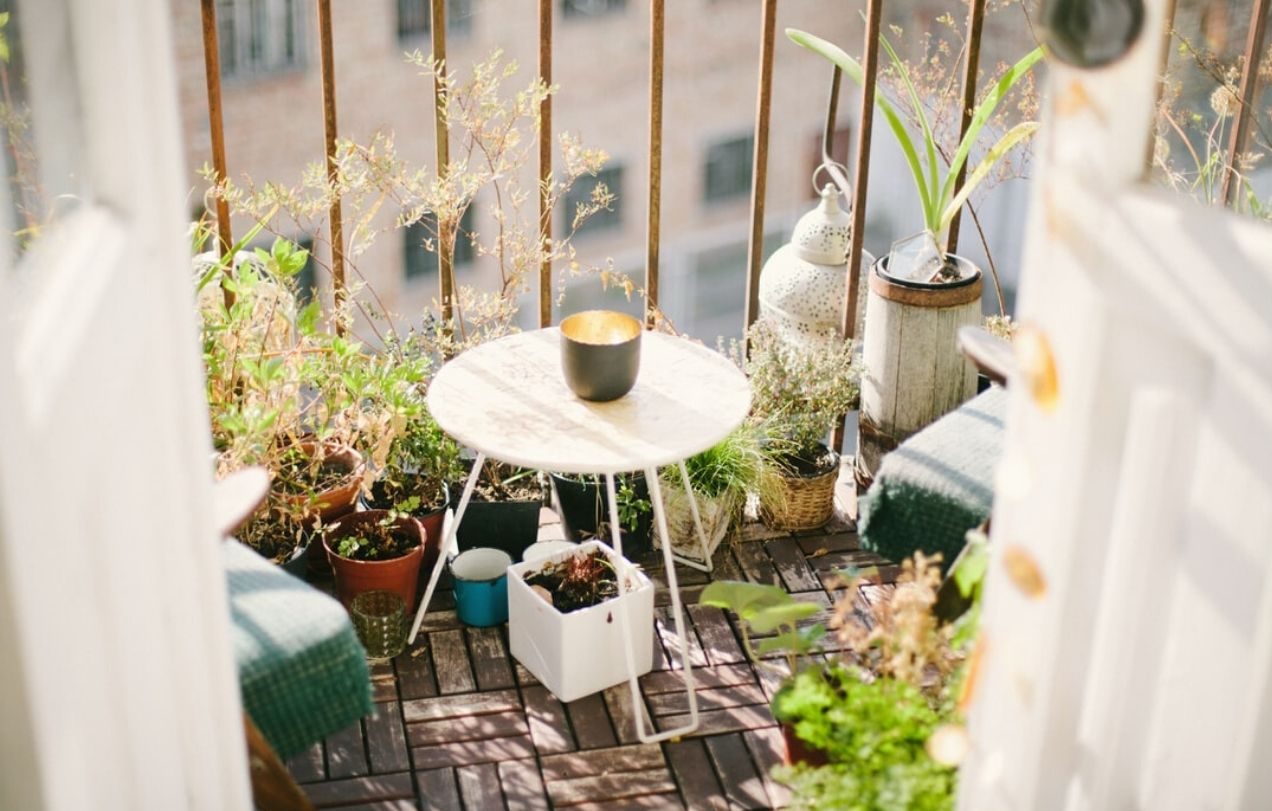 Piante aromatiche da balcone