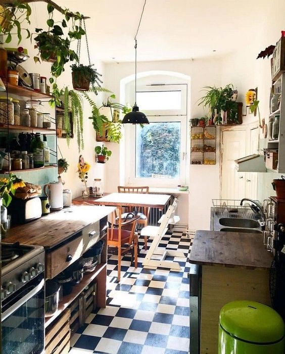 piante in cucina