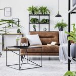 Arredamento casa stile urban jungle: come realizzare la vostra oasi verde