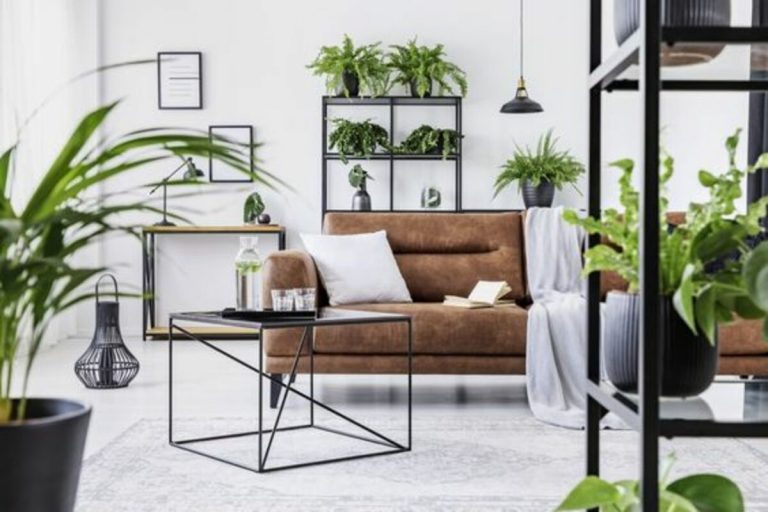 Arredamento casa stile urban jungle: come realizzare la vostra oasi verde