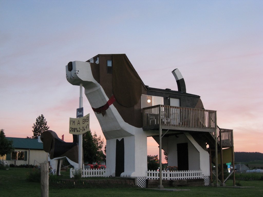 Bed And Breakast Dog Park Inn