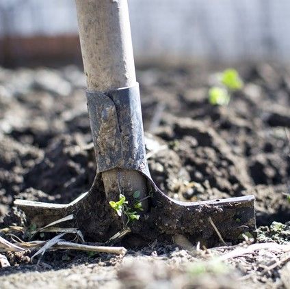 preparare il terreno