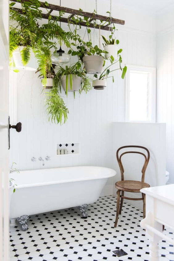 piante in bagno moderno