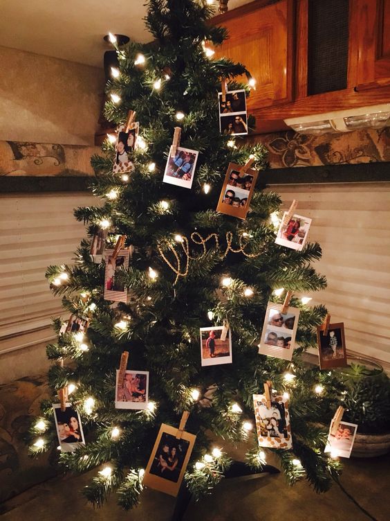 albero con polaroid