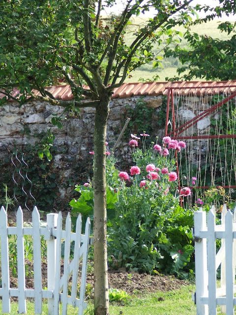 giardino esempio