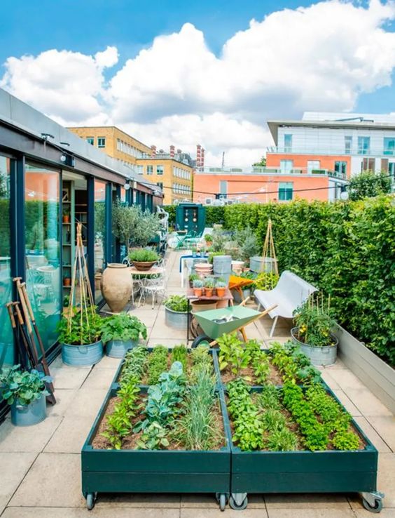 giardino sul tetto di casa