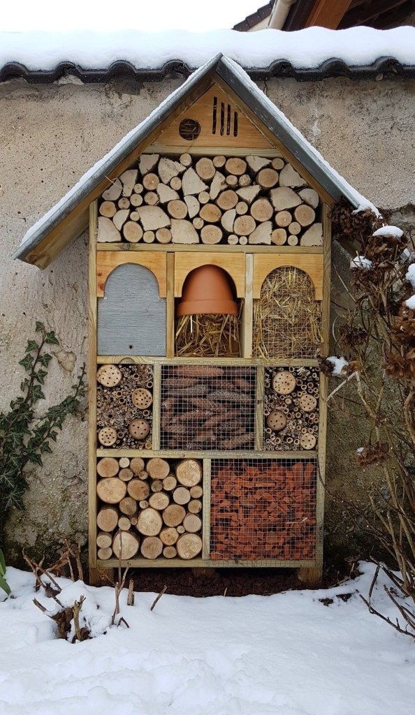 bug hotel