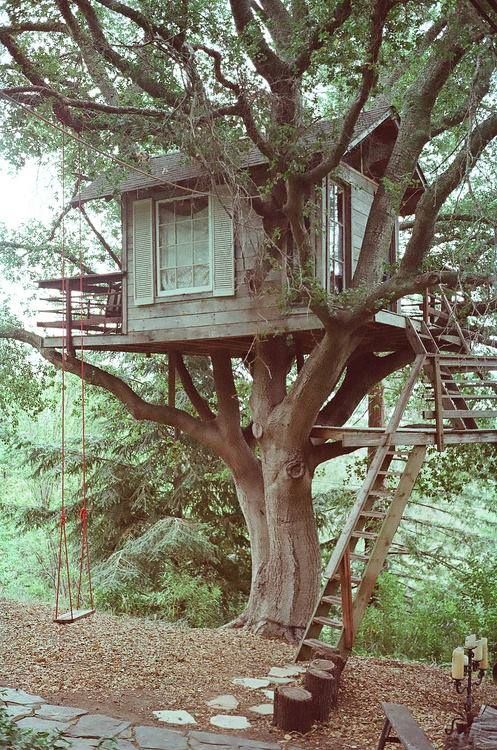 casa in legno su albero