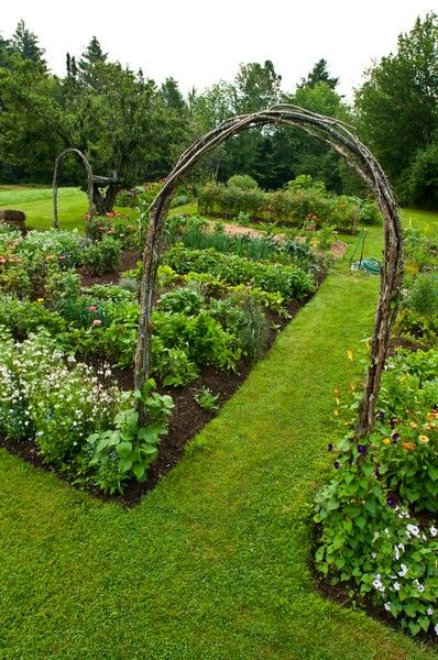 Orto in giardino in un anggolo verde