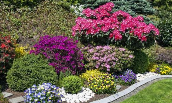 giardino fiorito con tante piante