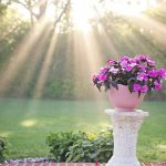vaso per fiori in giardino