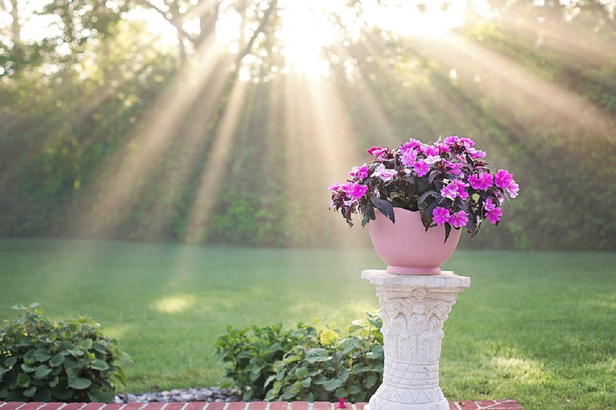 vaso per fiori in giardino