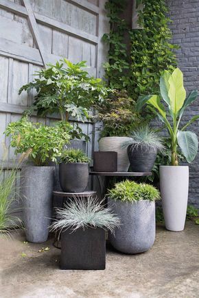 vasi di diverse forme per piante