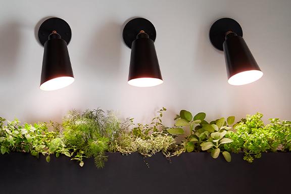 Luci per piante indoor