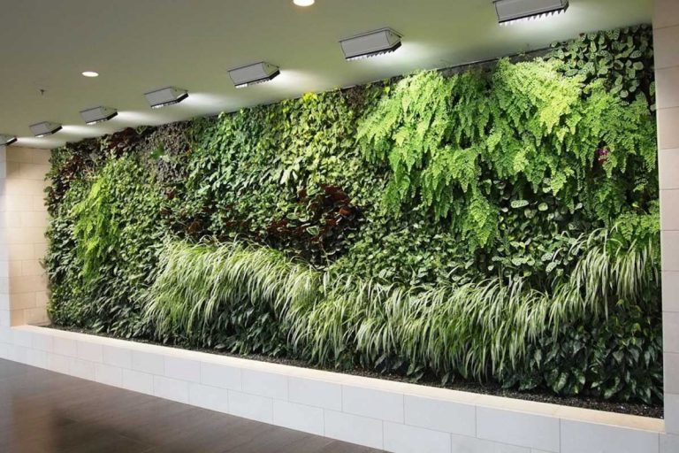 Luci per piante indoor