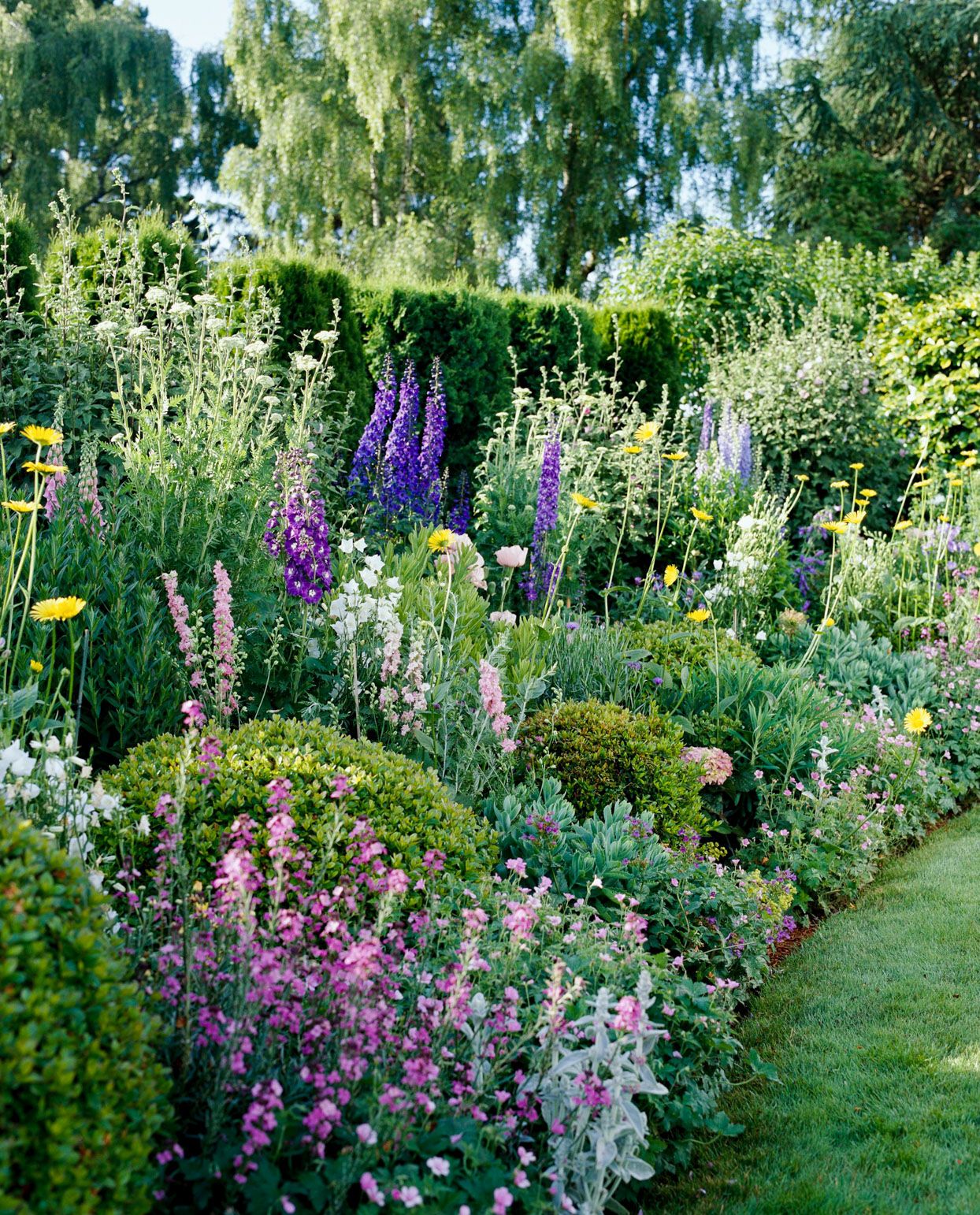 fiori e piante giardino country