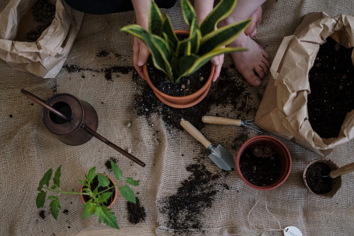 pro e contro del giardinaggio casa