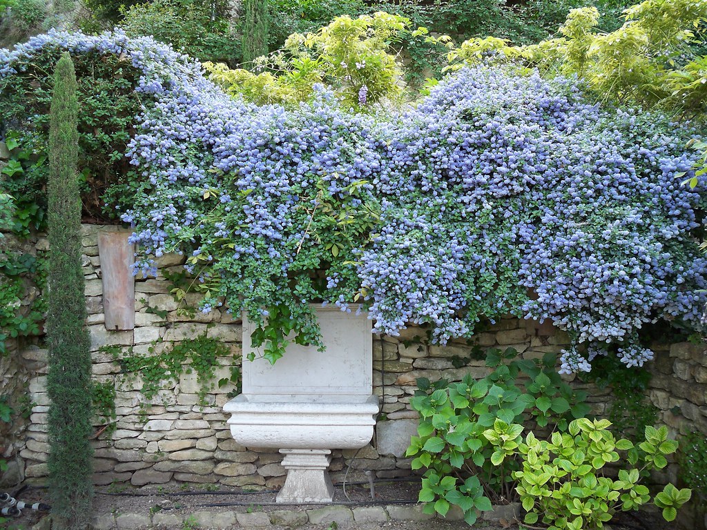 Giardino provenzale 02 fontana