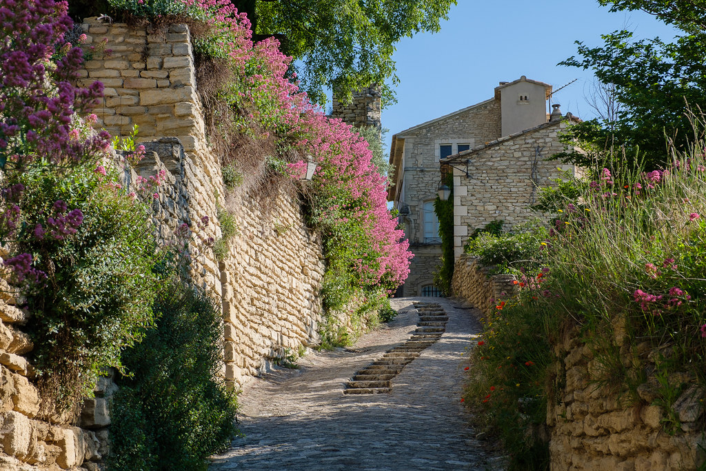 Giardino provenzale 04 strada