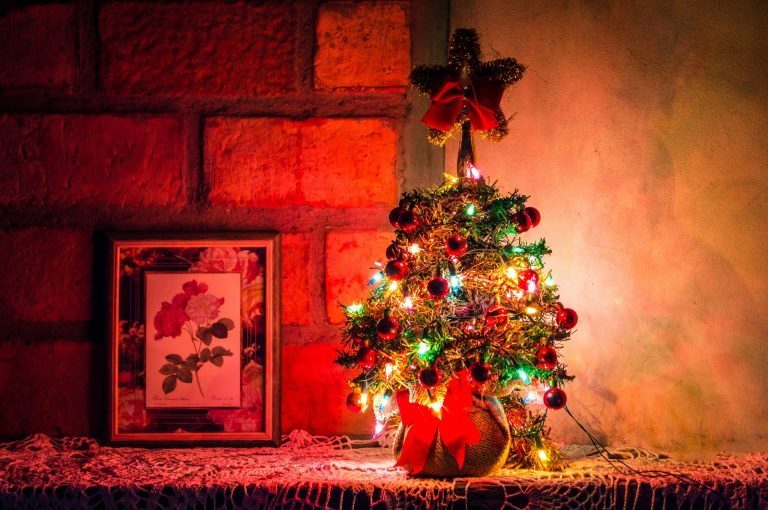 albero di Natale in vaso