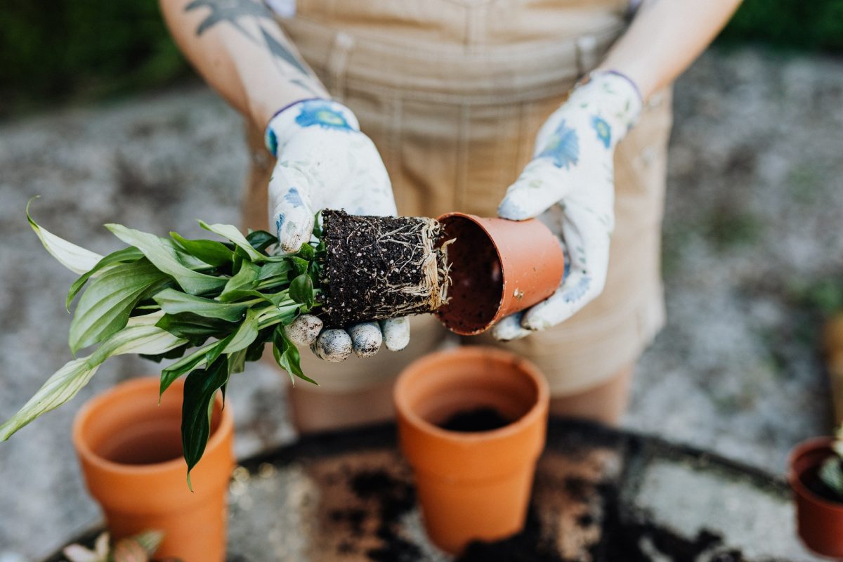 i lavori di giardinaggio più soddisfacenti