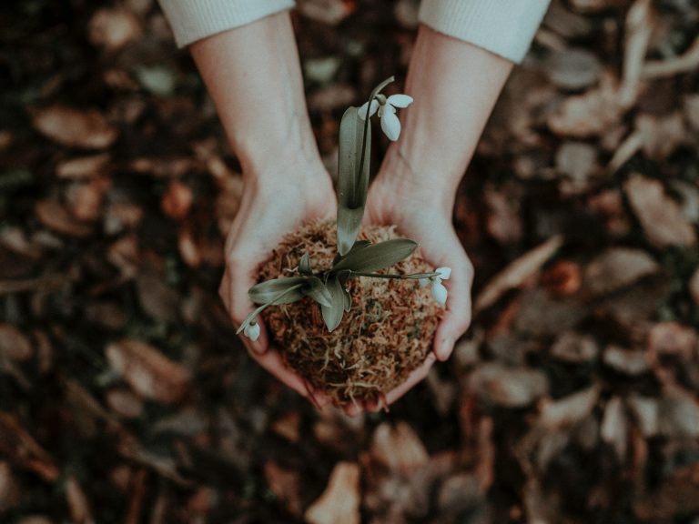 lavori di giardinaggio più soddisfacenti