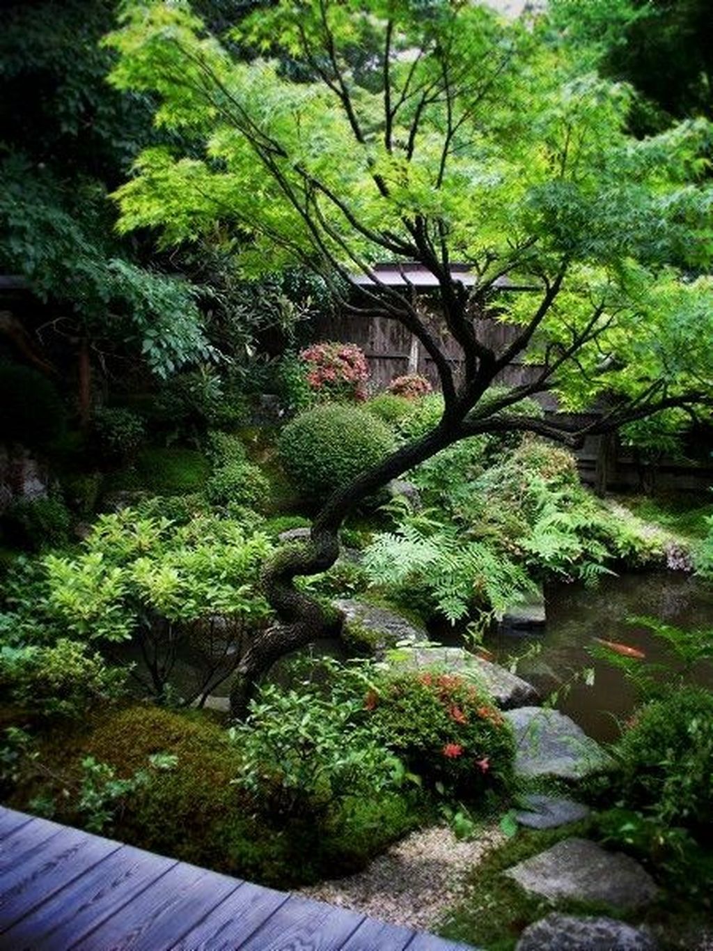 vegetazione in giardino giapponese