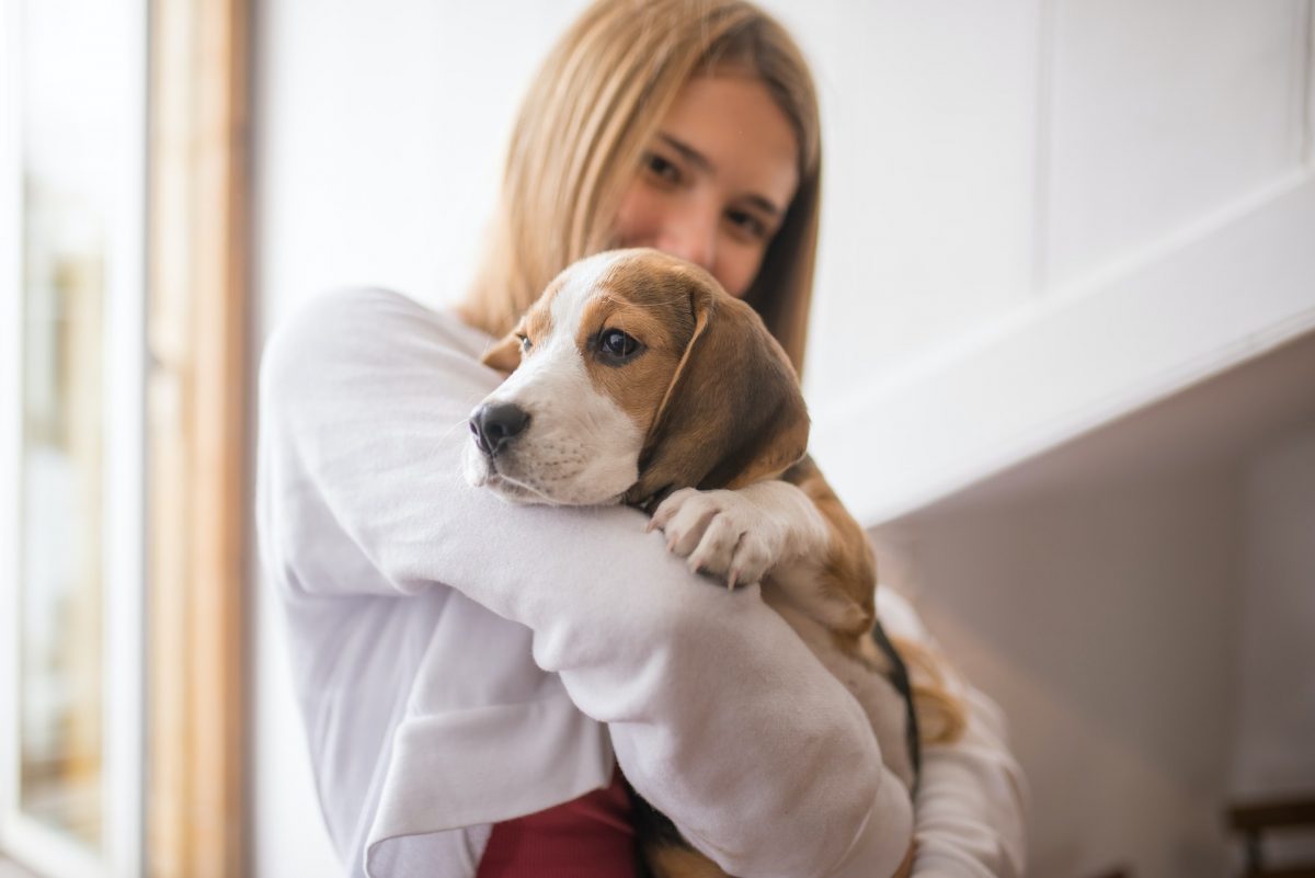 Prodotti per la pulizia della casa sicuri per gli animali domestici