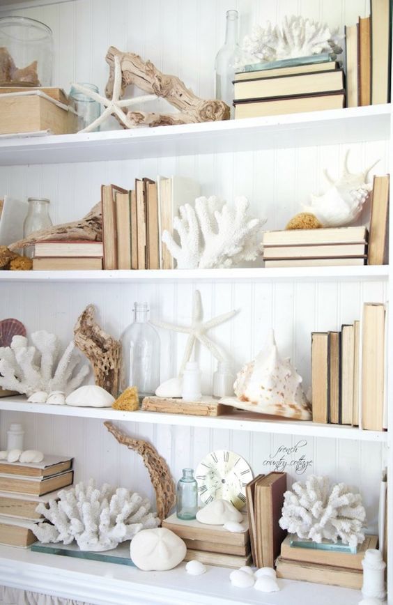 libreria con libri vintage e decorazioni coastal