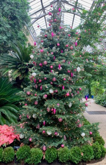 albero di Natale all'aperto consigli