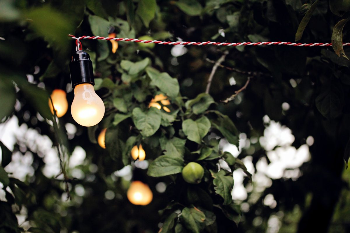 Stringhe luminose giardino fai da te