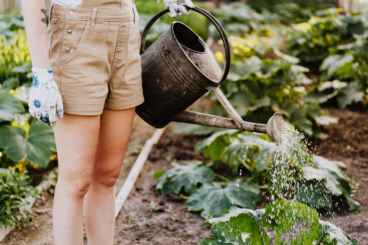 Tendenze giardinaggio 2022