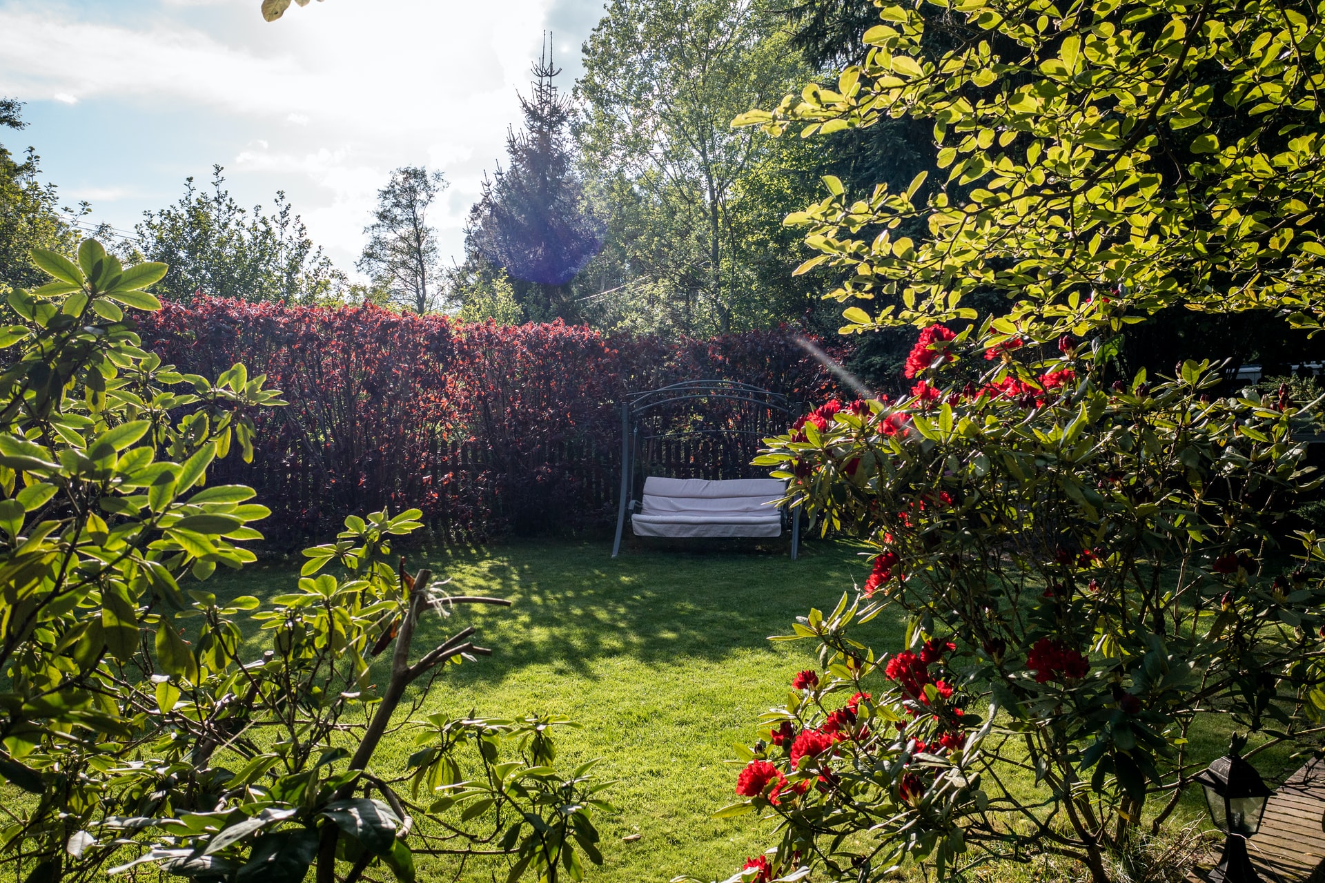 come prendersi cura del giardino in estate