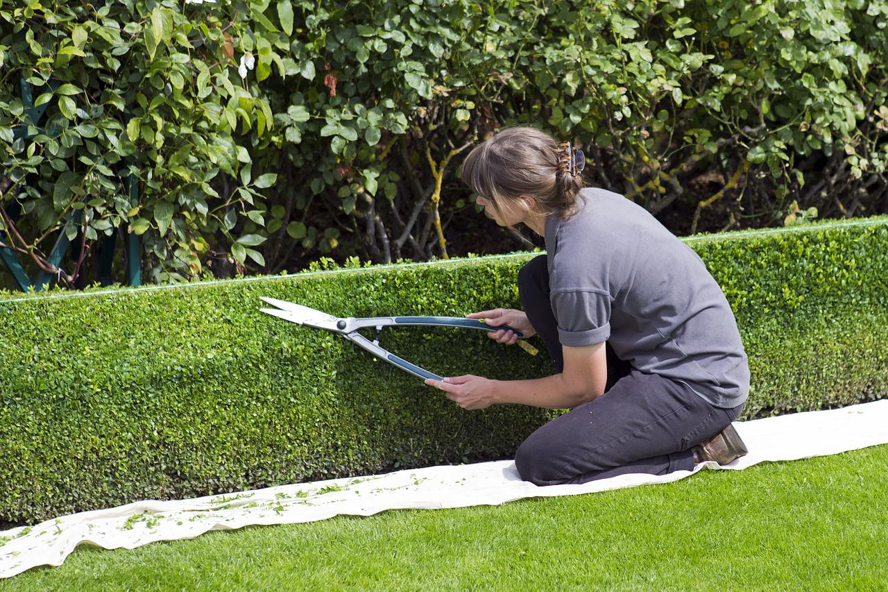 Cura del giardino: consigli e suggerimenti