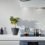 eliminare le formiche con rimedi naturali