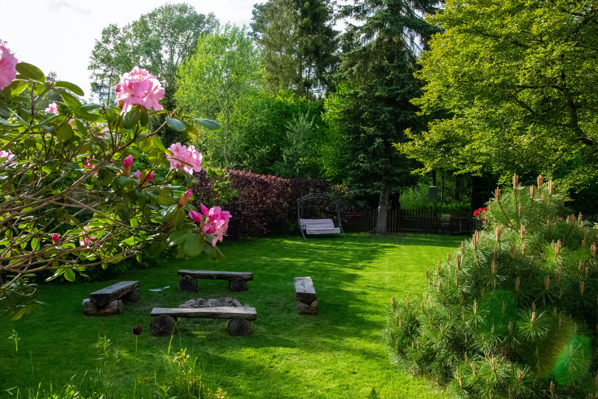 Giardino a basso impatto climatico vantaggi