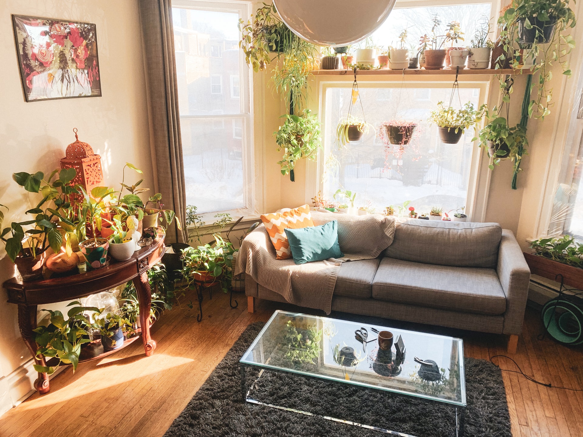casa fresca con le piante