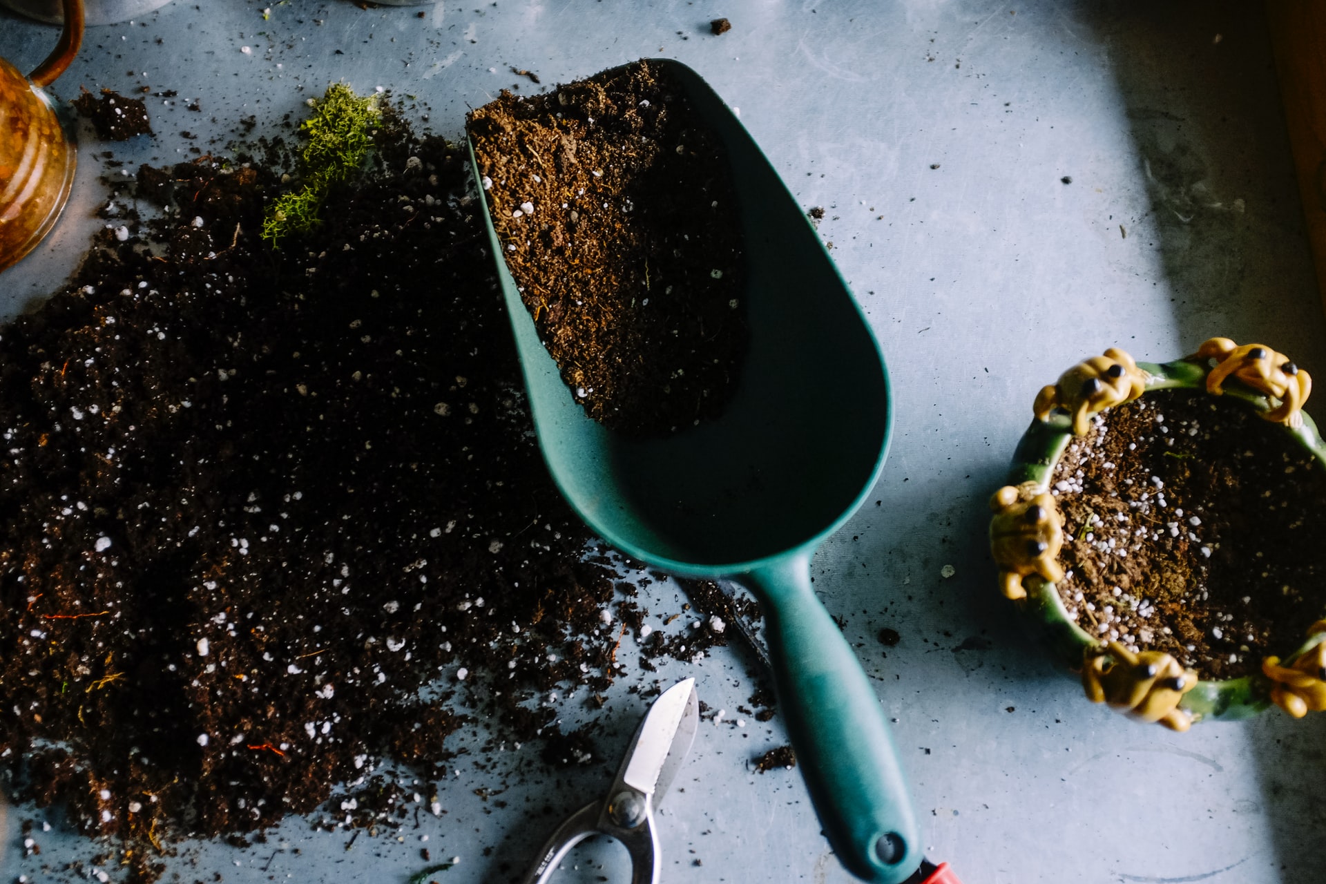 come preparare il giardino alla pioggia