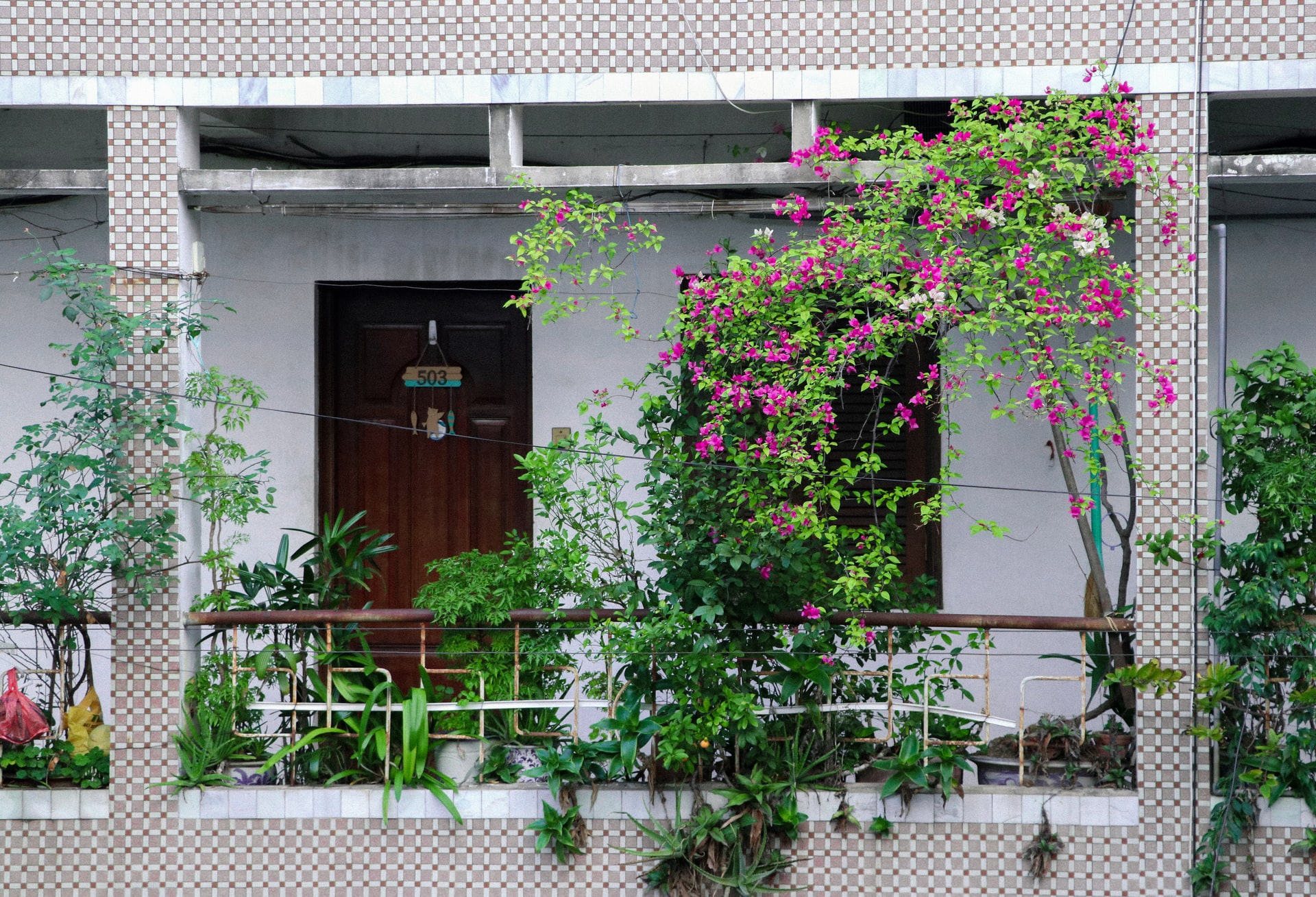 curare il giardino sul balcone