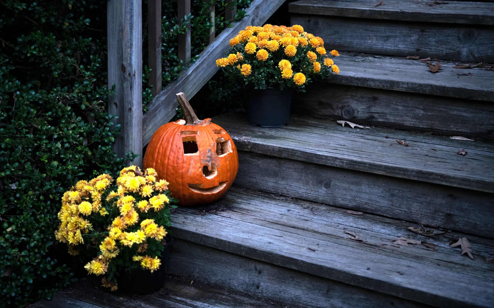 come Decorare il giardino in autunno