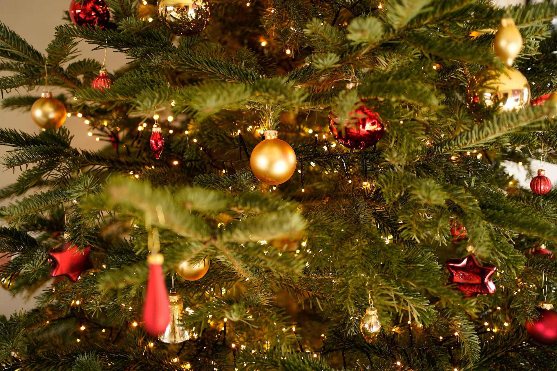come decorare l'albero di Natale in modo professionale