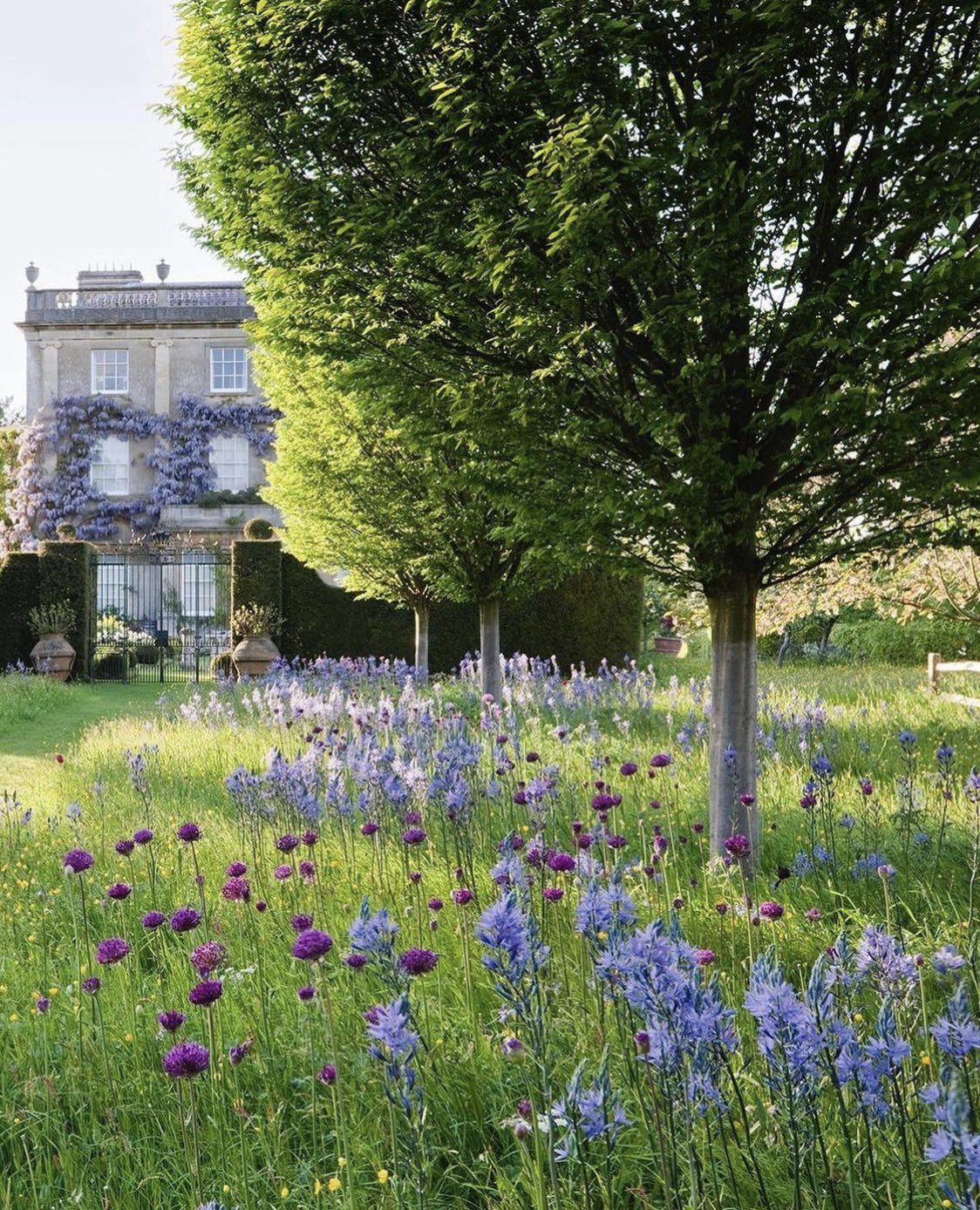 Highgrove House re carlo giardini