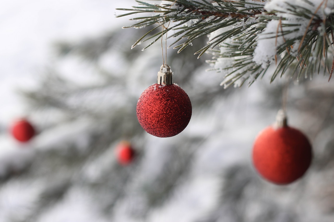 Alberi di Natale veri casa