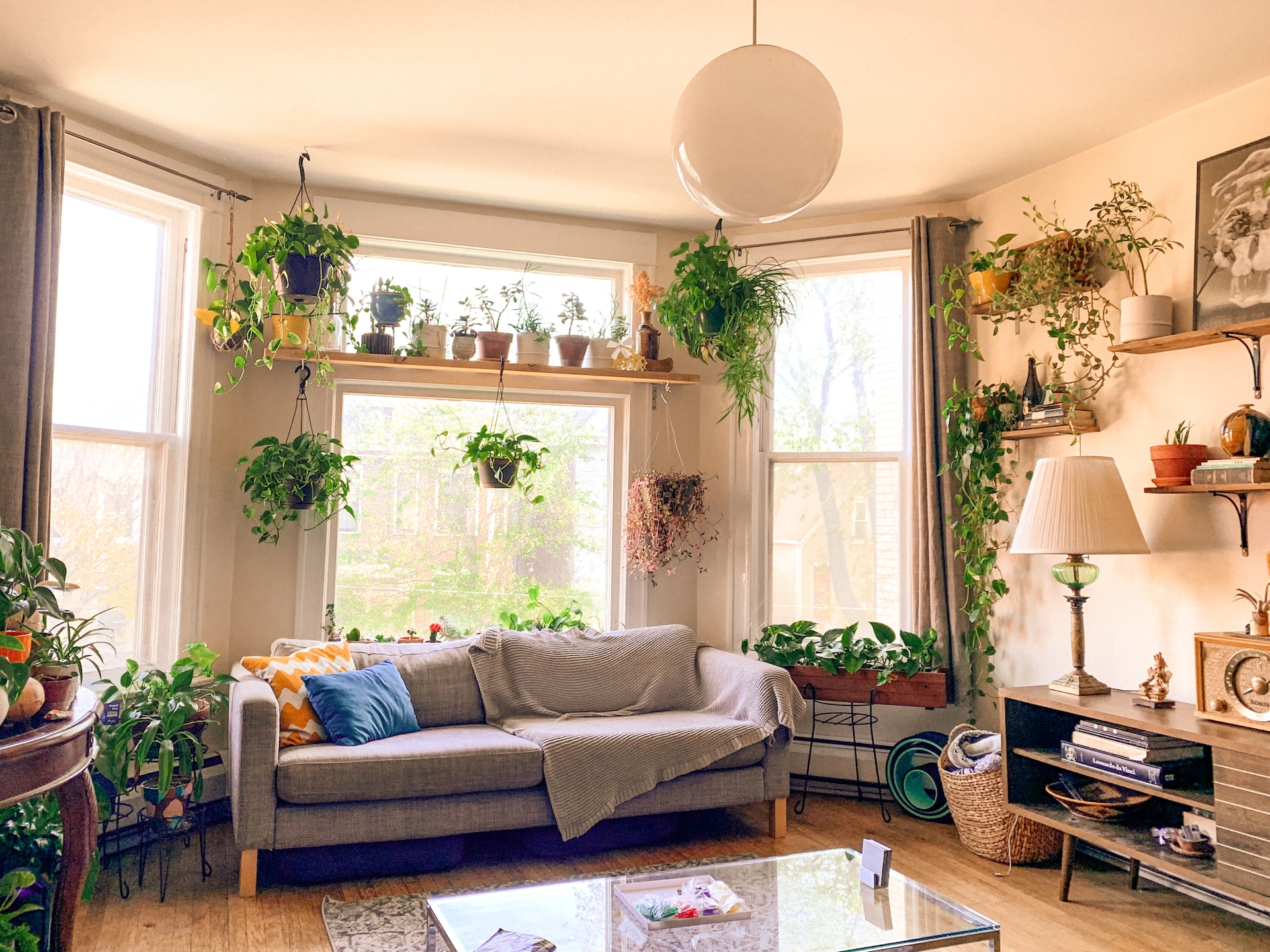 Idee per le piante da appartamento