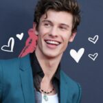 casa di shawn mendes