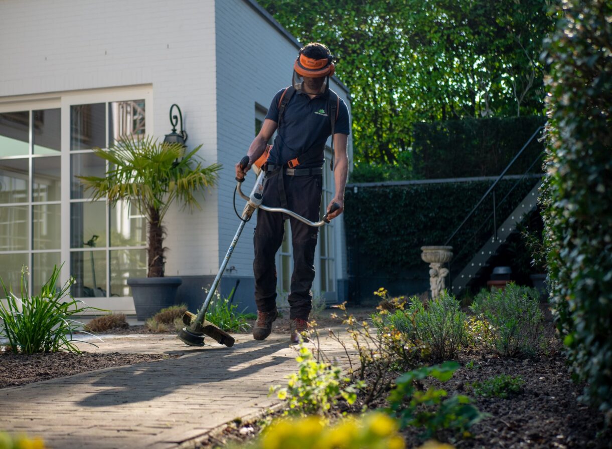 come sistemare erba giardino