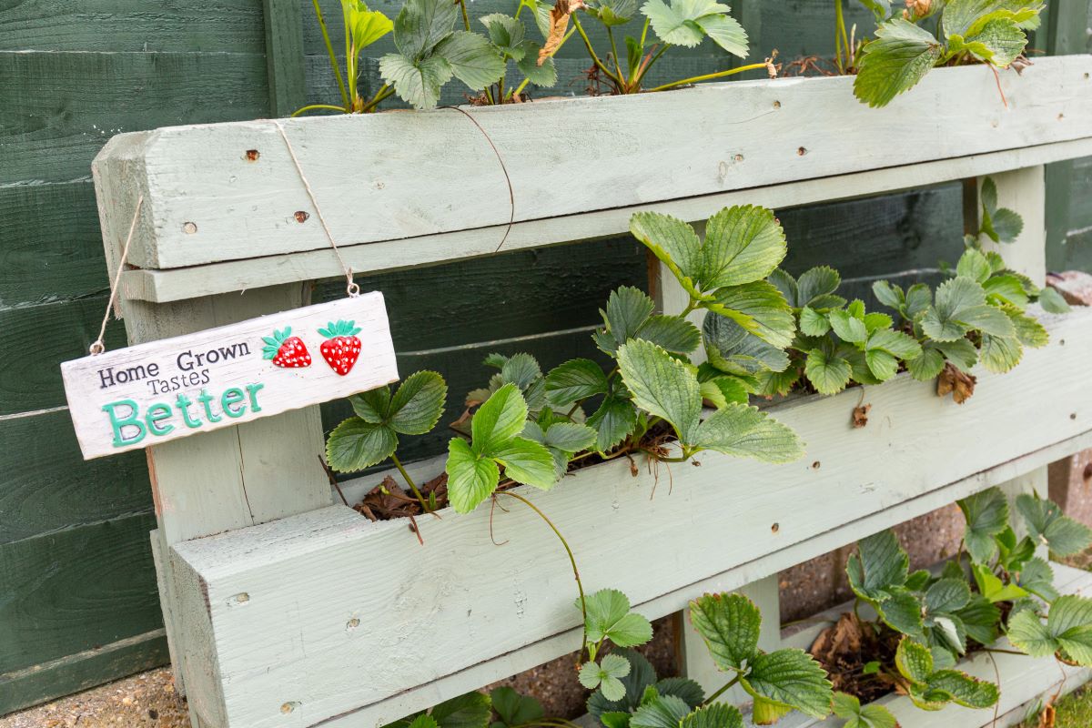 come abbellire un muro di cemento in giardino idee