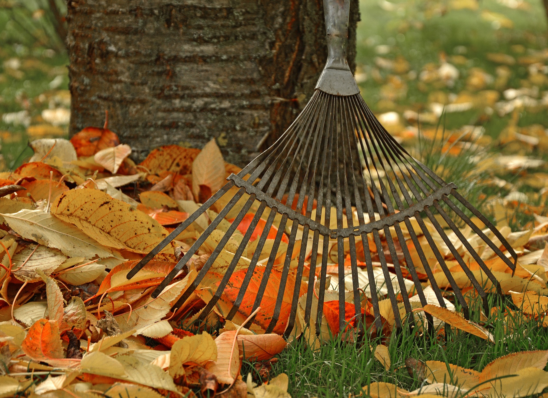 giardino arrivo autunno