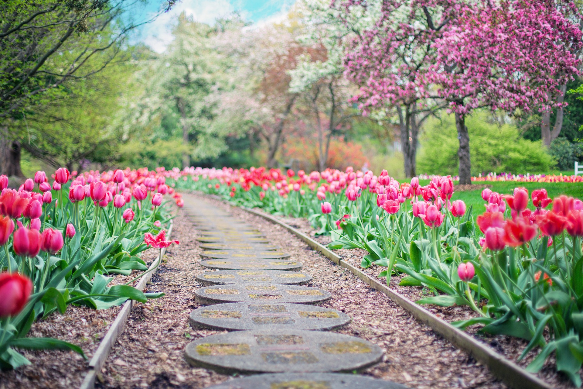 arredare un giardino